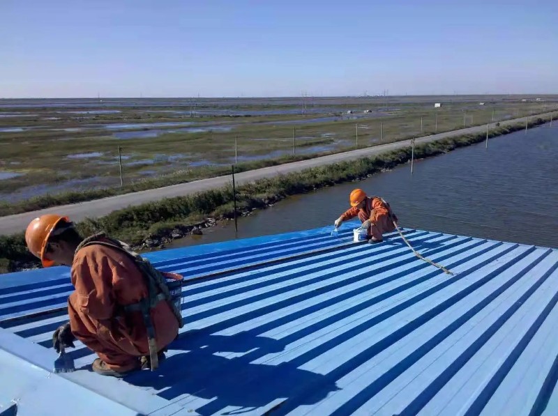 蔡甸钢结构屋面漏水原因